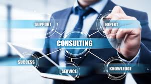  IT consultants are typically highly skilled and knowledgeable individuals or firms that assist organizations in optimizing their IT systems, processes, and strategies to achieve their business objectives. These consultants analyze existing technology infrastructure, identify areas for improvement, 