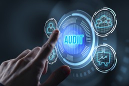 IT audit services